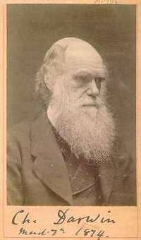 Darwinsignature