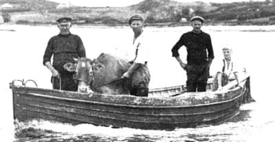 Cowboat