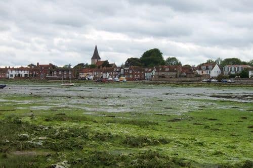 Angela's Ramble Bosham 28 05 07